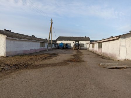 Недвижимое имущество и оборудование сельскохозяйственного предприятия по адресу: Витебская обл., Бешенковичский р-н, Бочейковский с/с, аг. Двор Низголово. Недвижимое имущество и оборудование сельскохозяйственного предприятия по адресу: Витебская обл., Бешенковичский р-н, Бочейковский с/с, аг. Двор Низголово.