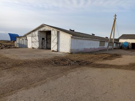 Недвижимое имущество и оборудование сельскохозяйственного предприятия по адресу: Витебская обл., Бешенковичский р-н, Бочейковский с/с, аг. Двор Низголово. Недвижимое имущество и оборудование сельскохозяйственного предприятия по адресу: Витебская обл., Бешенковичский р-н, Бочейковский с/с, аг. Двор Низголово.