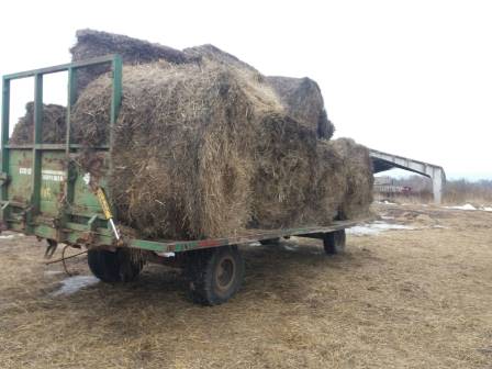 Специальное транспортное средство СТС-12, 2009 г.в. Специальное транспортное средство СТС-12, 2009 г.в.