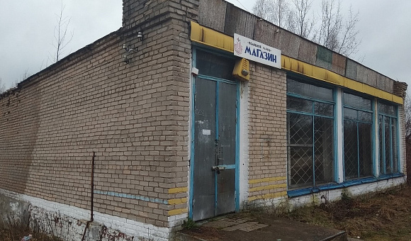 Неиспользуемое недвижимое имущество Неиспользуемое недвижимое имущество
