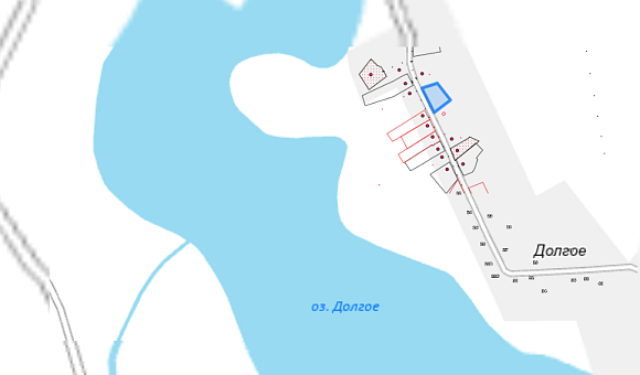 Лот№3. Земельный участок с кадастровым № 221582004601000054 площадью 0.2475 га по адресу: Витебская обл., Глубокский р-н, Зябковский с/с, д. Долгое, ул. Озёрная, 13А для строительства и обслуживания жилого дома