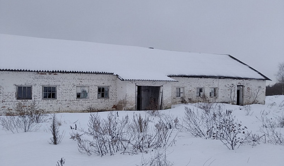 Коровник по адресу: Витебская обл., Бешенковичский р-н, Бочейковский с/с, д. Чурилово.