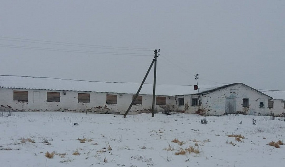 Недвижимое имущество сельскохозяйственного предприятия по адресу: Витебская обл., Бешенковичский р-н, Островенский с/с, д. Новоселки