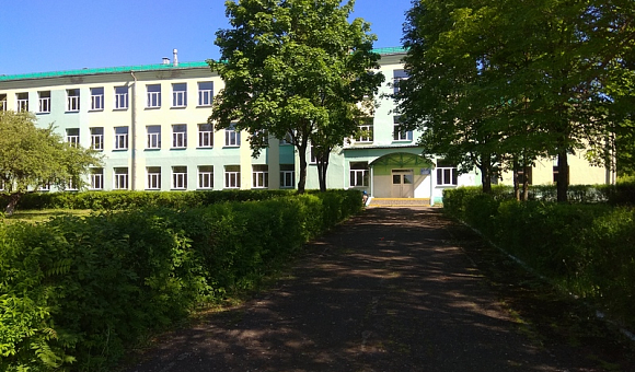 Капитальное строение - здание Долгопольской средней школы, сарай, инвентарный номер 201/С-Городокский район, аг. Долгополье,  пер. Центральный, 2	