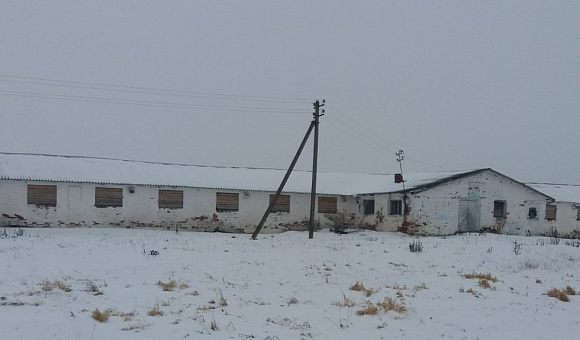 Недвижимое имущество сельскохозяйственного предприятия по адресу: Витебская обл., Бешенковичский р-н, Островенский с/с, д. Новоселки Недвижимое имущество сельскохозяйственного предприятия по адресу: Витебская обл., Бешенковичский р-н, Островенский с/с, д. Новоселки