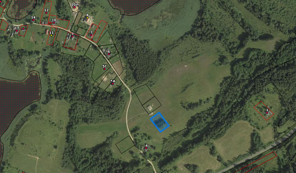 Лот №1. Земельный участок с кадастровым № 220888116601000046 площадью 0.25 га по адресу: Витебская обл., Браславский р-н, Слободковский с/с, д. Масковичи, 4Д для строительства и обслуживания одноквартирного жилого дома. 