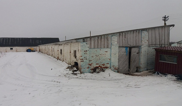 Недвижимое имущество и оборудование сельскохозяйственного предприятия по адресу: Витебская обл., Бешенковичский р-н, Бочейковский с/с, д.  Клещино