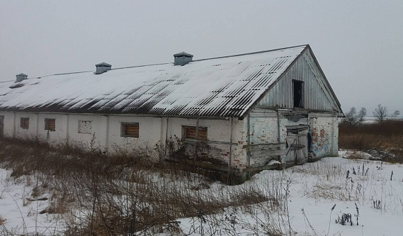 Недвижимое имущество сельскохозяйственного предприятия по адресу: Витебская обл., Бешенковичский р-н, Островенский с/с, д. Новоселки