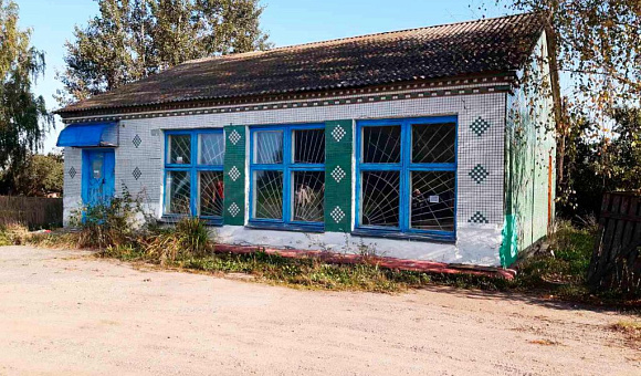 Магазин, инв. № 240/С-46166 под агроэкоусадьбу Оршанский район, д. Туминичи, ул. Центральная, 11